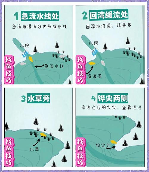 笑傲蜘蛛池：揭秘高效收录背后的技术逻辑与实战策略