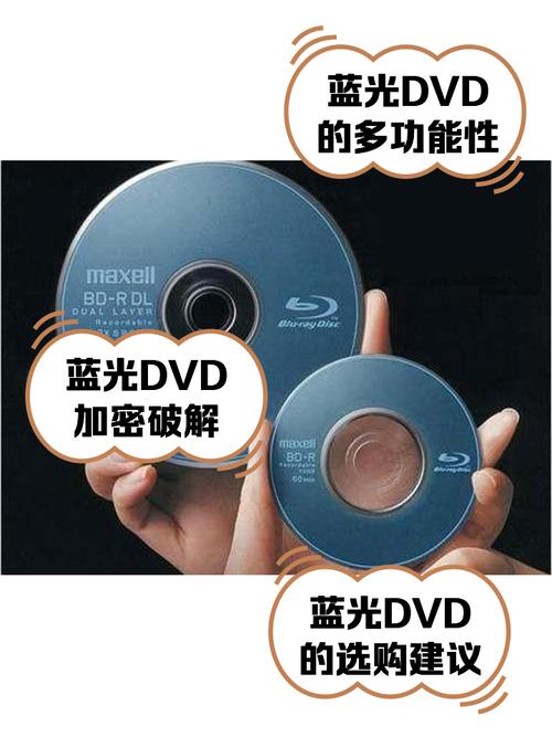 生活大爆炸第一季下载的相关介绍